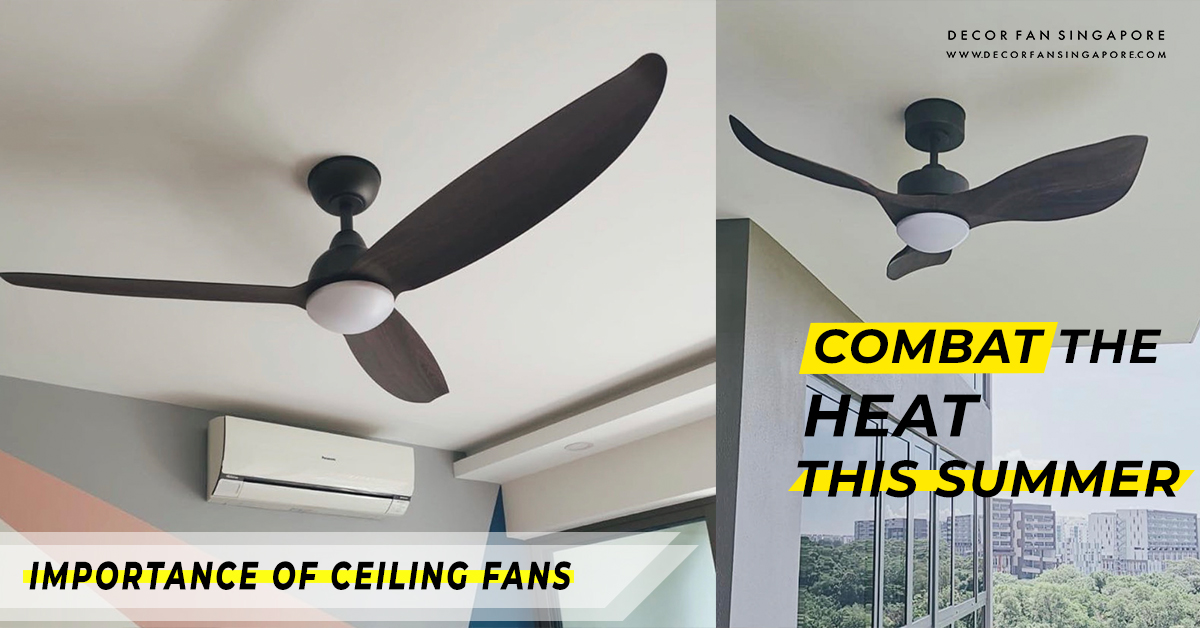 5 Reasons To Install A Ceiling Fan In Your House Decor Singapore
